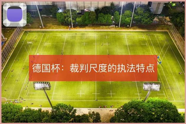 德国杯：裁判尺度的执法特点