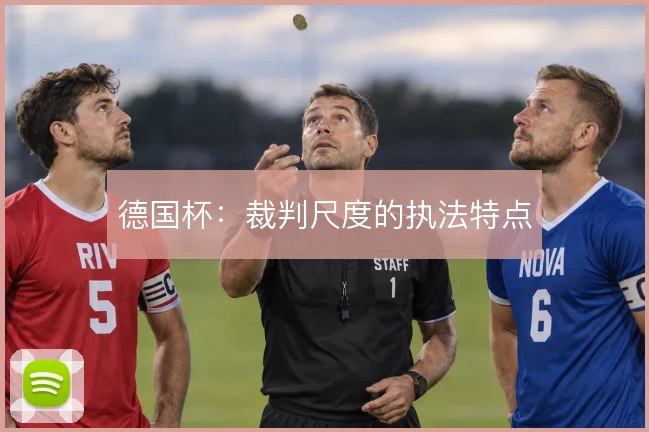 德国杯：裁判尺度的执法特点